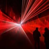 Forest-Seasons @ DARK-MATTER