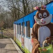 genid-f342301f14474fc8842de2d7e60cbf845876490-b8