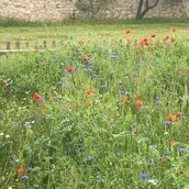 genid-f342301f14474fc8842de2d7e60cbf846408182-b22