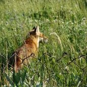 genid-f342301f14474fc8842de2d7e60cbf846533299-b11