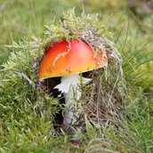 genid-f342301f14474fc8842de2d7e60cbf846534078-b11