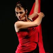 Flamenco Vivo