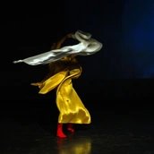 Shows You (maybe ) Missed