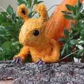 Die Eichhörnchen-Story