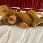 Mischkas wundersame Reise