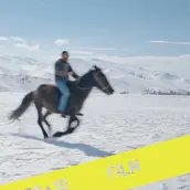 5 Dreamers and a Horse