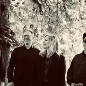 Die Band steht unter einem Baum, die Gesichter fröhlich Die Band steht unter einem Baum, die Gesichter fröhlich