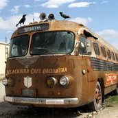 VISUAL Blackbird Café Orchestra