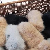 VISUAL Festivalfrühstück VISUAL Festivalfrühstück