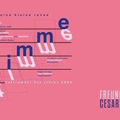 VISUAL Die Stimme