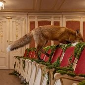 Das schlaue Füchslein