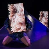 Veranstaltungen in Berlin: POROUS MATTER