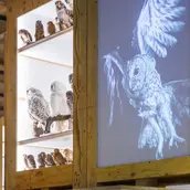 Sonderausstellung Zukunftsplan & ZUGvögel