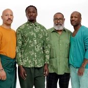 Flight of the Canaries