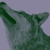 VISUAL „Natur und deutsche Geschichte“