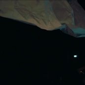 Pooyesh Frozandeh: Saving Flowers