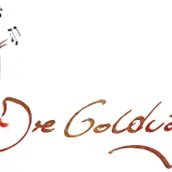 LOGO "Die Goldvögel"