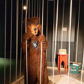 WHY NOT THE BEAR? #THE CAGE