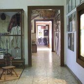 Blick in die Hanf-Ausstellung