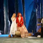 Das Weihnachtsmärchen von der Prinzessin und dem Weihnachtsmann