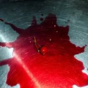 Veranstaltungen in Berlin: Der Zweite Kirschgarten