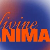 VISUAL Divine Animal