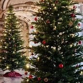 Weihnachten im Grottensaal des Neuen Palais