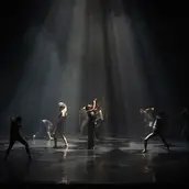 Jungle 정글