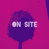 VISUAL PINK YOU FEST: ON SITE