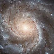 Spiralgalaxie
