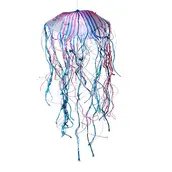 Wunsch an eine Qualle, handgewebt aus Angelschnur und recyceltem Plastikgarn