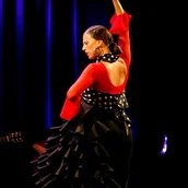Flamenco puro