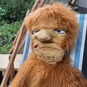 Der Schöne und die Biest