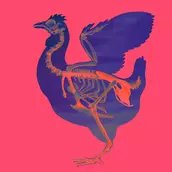 Veranstaltungen in Berlin: Das Huhn lügt