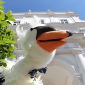 Familienführung: Schwan Heinrich erzählt aus der Zeit Friedrichs I.