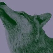 VISUAL „Natur und deutsche Geschichte”