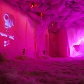 What Humanity Taught Us