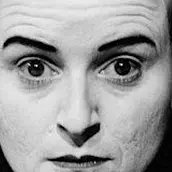 Bridge Markland Faust in the Box