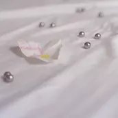 magicians in bed