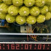 eil Joo, countdown to 2300