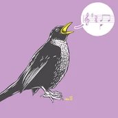 Veranstaltungen in Berlin: KUCKUCKSNEST