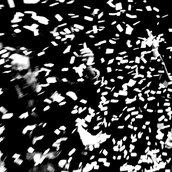 Veranstaltungen in Berlin: HIMMELWEG von Juan Mayorga (es liest Stephan Thiel)