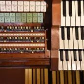 Detail große Sauer-Orgel, Foto: Maren Glockner