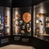 „ALL HANDS ON: Flechten“ im Museum Europäischer Kulturen, Ausstellungsansicht
