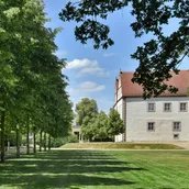 Wusterhauen
