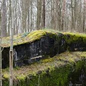 Veranstaltungen in Berlin: Zur Konzeption und Gestaltung der kommenden Ausstellung „Natur und deutsche Geschichte“