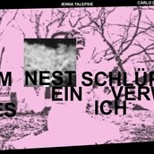 Im Nest schlüpft