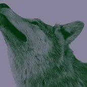 VISUAL „Natur und deutsche Geschichte“