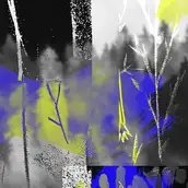 Mateja Dragicevic, aus der Serie: Wesen, Digitaldruck, 2022