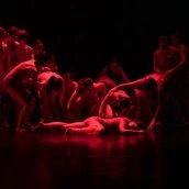 DART Dance Company: THREAD